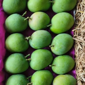 Alphonso Mangoes